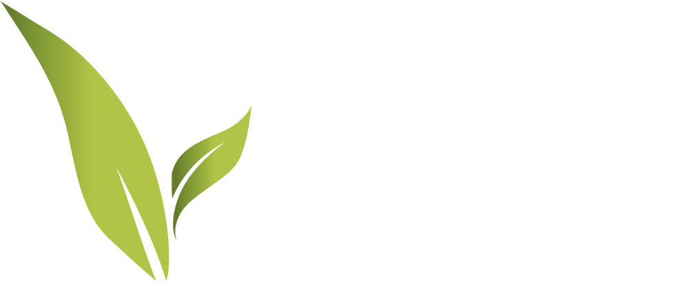 vleischdealer logo